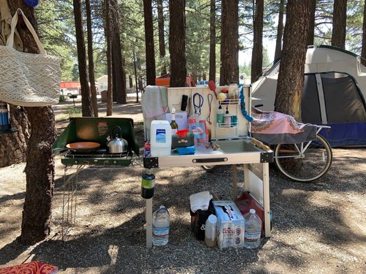 Mammoth Campground by null