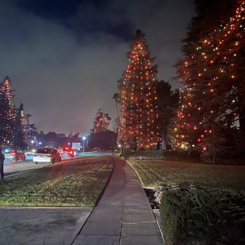 St. Albans Rd. Xmas Lighting - Majesty of huge trees decorated for Christmas 2021 - Festivals Near Me - San Marino, California