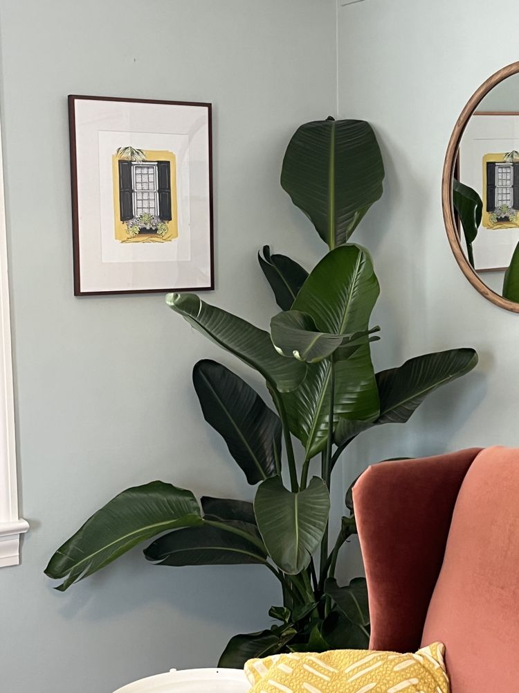 Megan Cannon Counseling - grief counselor in North Charleston, SC