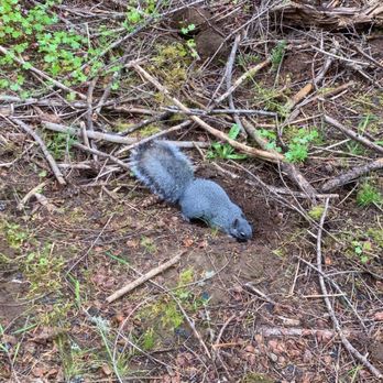 Chehalem Ridge Nature Park - Hiking Near Me - Gaston, Oregon