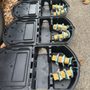 Photo of Chelsea Pest Control