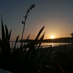 Le Grain de Sable - Vue de la terrasse, coucher de soleil...