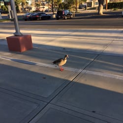 Pico Park - Seeing is I'm gonna offer some trash.