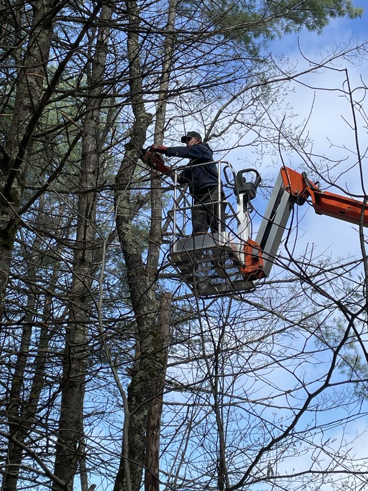 RICHARD PROPERTY SERVICES Updated August 2024 New Gloucester, Maine Lawn Services Phone