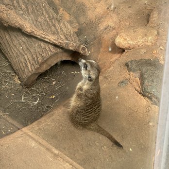 Lincoln Park Zoo - Zoos Near Me - Chicago, Illinois Lincoln Park Zoo - Zoos Near Me - Chicago, Illinois