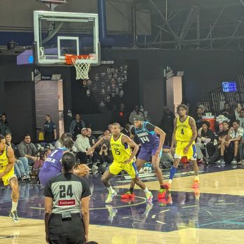Greensboro Swarm - Professional Sports Teams Near Me - Greensboro, North Carolina Greensboro Swarm - Professional Sports Teams Near Me - Greensboro, North Carolina