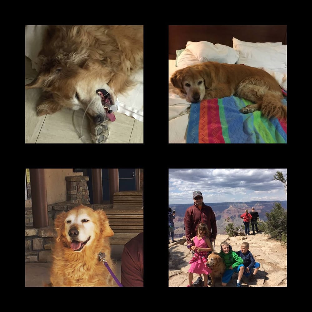 MONTEZUMA VETERINARY CLINIC Updated September 2024 10411 Highway