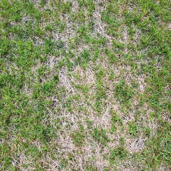 BW Fertilizing - Lawn Services Near Me - Edwardsburg, Michigan