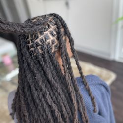 Braided Stallions