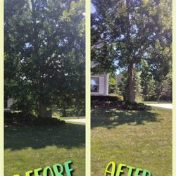Rose's Tree Experts