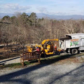 All American Tree Service - Tree Services Near Me All American Tree Service - Tree Services Near Me