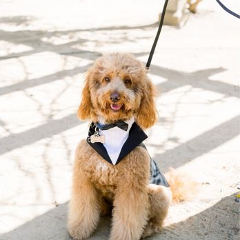 Weddings with Angie - Wedding Planning Near Me Weddings with Angie - Wedding Planning Near Me