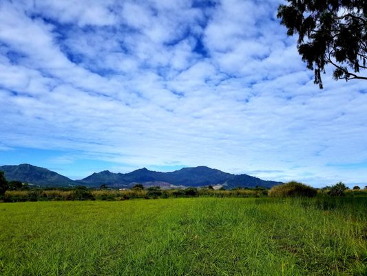 Kukaniloko Birth Stones by null