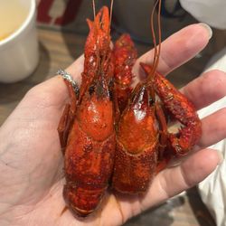 Boil House