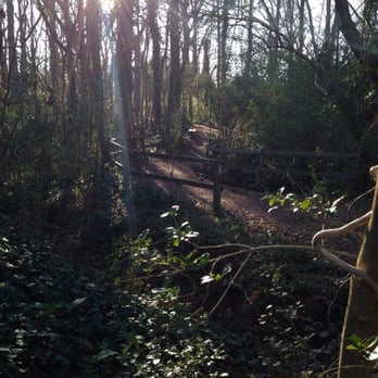 Chesapeake Arboretum - Trails - Parks Near Me - Chesapeake, Virginia