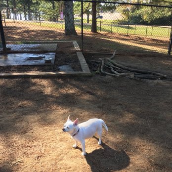 Dog Park At The Rez - My love, Chueco - Dog Parks Near Me - Ridgeland, Mississippi Dog Park At The Rez - My love, Chueco - Dog Parks Near Me - Ridgeland, Mississippi