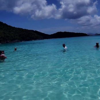 Trunk Bay - beach - Beaches Near Me - St John, Virgin Islands