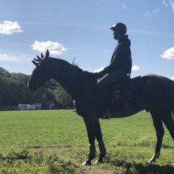 Barrington Equine Center
