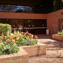 Wells Fargo Bank - Nice tulips in front of the entrance.
