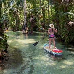 Otter Paddle Orlando - Rock Springs