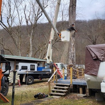 Baron's Tree Service - Tree Services Near Me - Titusville, Pennsylvania Baron's Tree Service - Tree Services Near Me - Titusville, Pennsylvania