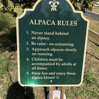 Canzelle Alpacas - Rules - Farms Near Me - Carpinteria, California Canzelle Alpacas - Rules - Farms Near Me - Carpinteria, California