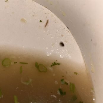 Twenty Pho Hour - Asian Fusion Near Me - Los Angeles, California