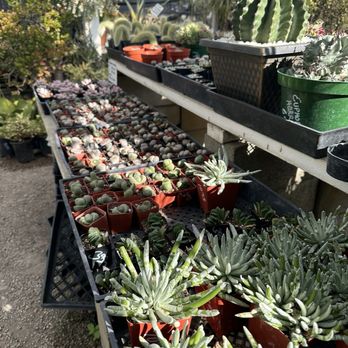 Upland Nursery - Nurseries & Gardening Near Me - Orange, California