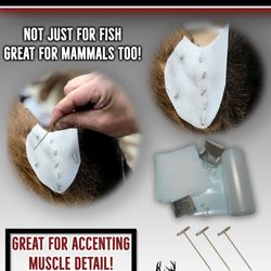 Matuska Taxidermy
