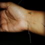 Photo of Dallas Acupuncture Clinic