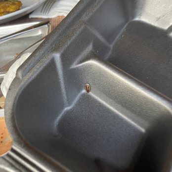 Sofrito Latin Cafe - A live roach in their takeout tray. - Latin American Near Me - Orlando, Florida
