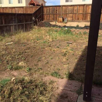 Dixon Hydroseeding - My back yard - Lawn Services Near Me - Hesperia, California Dixon Hydroseeding - My back yard - Lawn Services Near Me - Hesperia, California