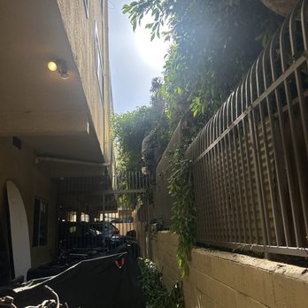 Franciscos Tree Service - Tree Services Near Me