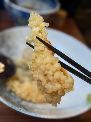 Abri Soba by null