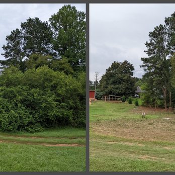 Chavez Tree Service - Tree Services Near Me - Lawrenceville, Georgia