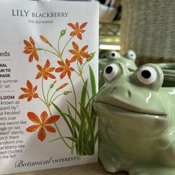 Durham Garden Center - Blackberry Lily seeds