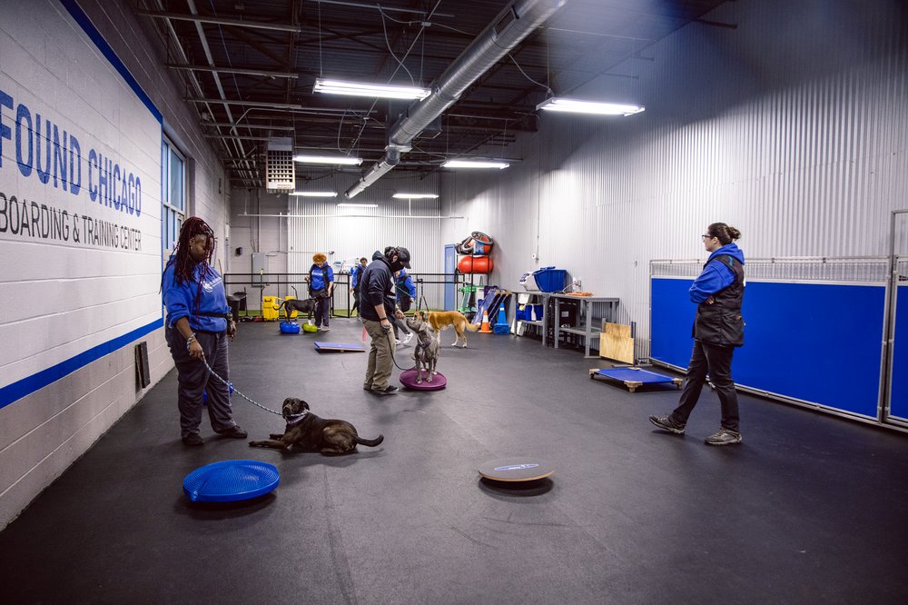 FOUND CHICAGO BOARDING AND TRAINING CENTER 111 Photos & 238 Reviews