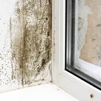 Mold Masters NEO - Home Inspectors Near Me Mold Masters NEO - Home Inspectors Near Me