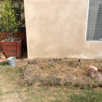 Greenview Landscape Management - Cleaning rose garden - Landscaping Near Me Greenview Landscape Management - Cleaning rose garden - Landscaping Near Me
