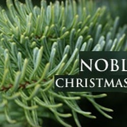 Dublin Christmas Tree Depot