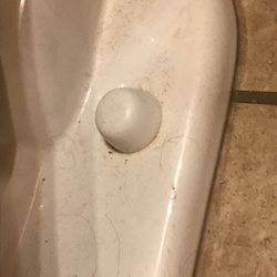 Cascada Cabins - The filthy toilet has never been cleaned