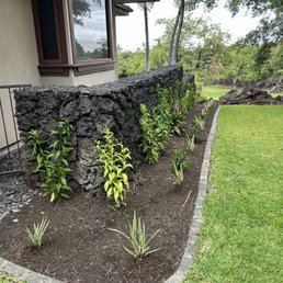 New plantings in an area that needed work.