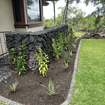 Aina Terra Permascapes - New plantings in an area that needed work. - Landscaping Near Me