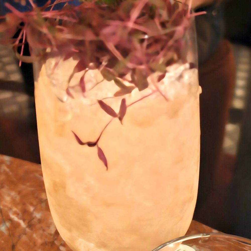Silver Lyan - Cocktail Bars Near Me - Washington, DC, District of Columbia Silver Lyan - Cocktail Bars Near Me - Washington, DC, District of Columbia