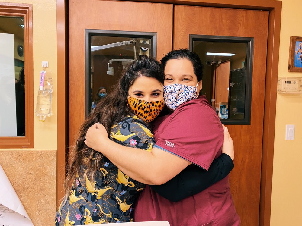 IRVINGTON PET HOSPITAL Updated August 2024 37 Photos & 112 Reviews