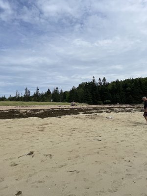 Sand Beach by null
