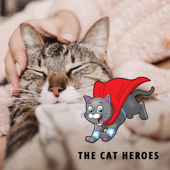 The Cat Heroes - Pet Sitting Near Me The Cat Heroes - Pet Sitting Near Me