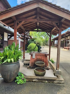 Nokonoshima Island by null