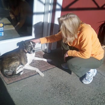 Kokomo Winery - This is the official four legged greeter at Kokomo - Wineries Near Me - Healdsburg, California Kokomo Winery - This is the official four legged greeter at Kokomo - Wineries Near Me - Healdsburg, California