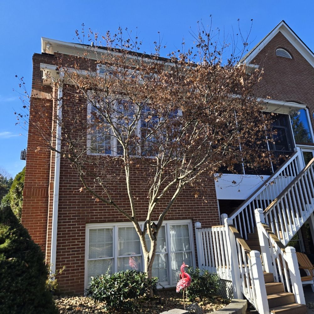 Voluntrees - tree service in Knoxville, TN